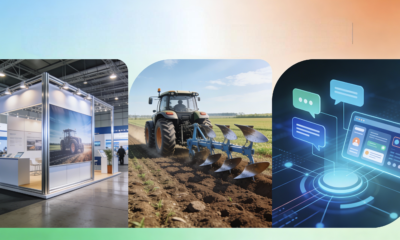 Messeregge: Meaning, Uses, and Modern Potential