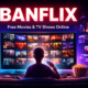 Banflix Explained: What It Is, How It Works, and Why It Matters